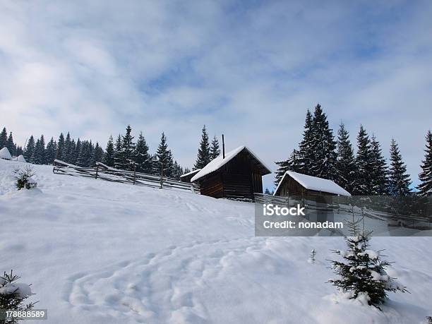 Winterscape Em Carpathians - Fotografias de stock e mais imagens de Abeto - Abeto, Antigo, Ao Ar Livre