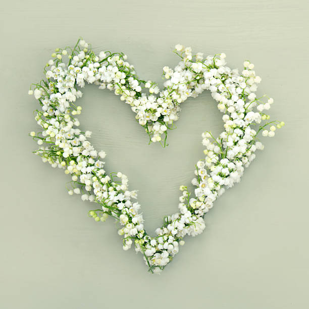 istock Heart shaped flower wreath on green background 178889894