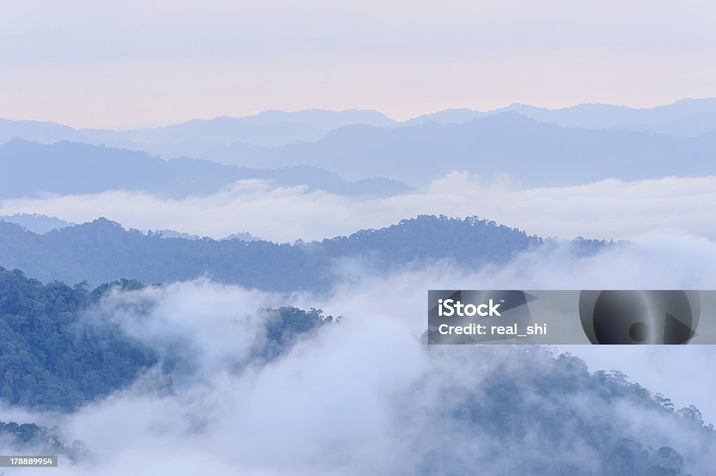 Montagna di nebbia tropicale - Foto stock royalty-free di Albero