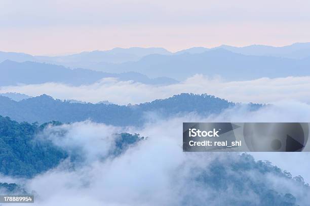 Montagna Di Nebbia Tropicale - Fotografie stock e altre immagini di Albero - Albero, Ambientazione esterna, Ambiente