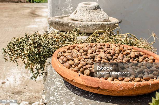 Frutti Di Argan In Una Donna Cooperative Essaouira - Fotografie stock e altre immagini di Albero di argan