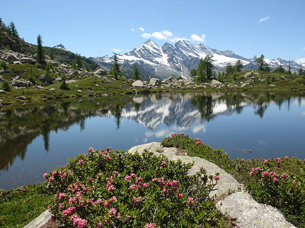 bellagarda lake - parque nacional de gran paradiso - fotografias e filmes do acervo