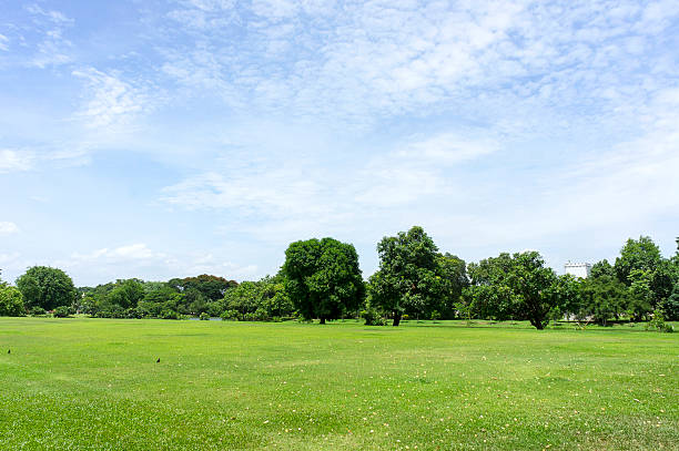 istock Green grass garden landscape. 178891407