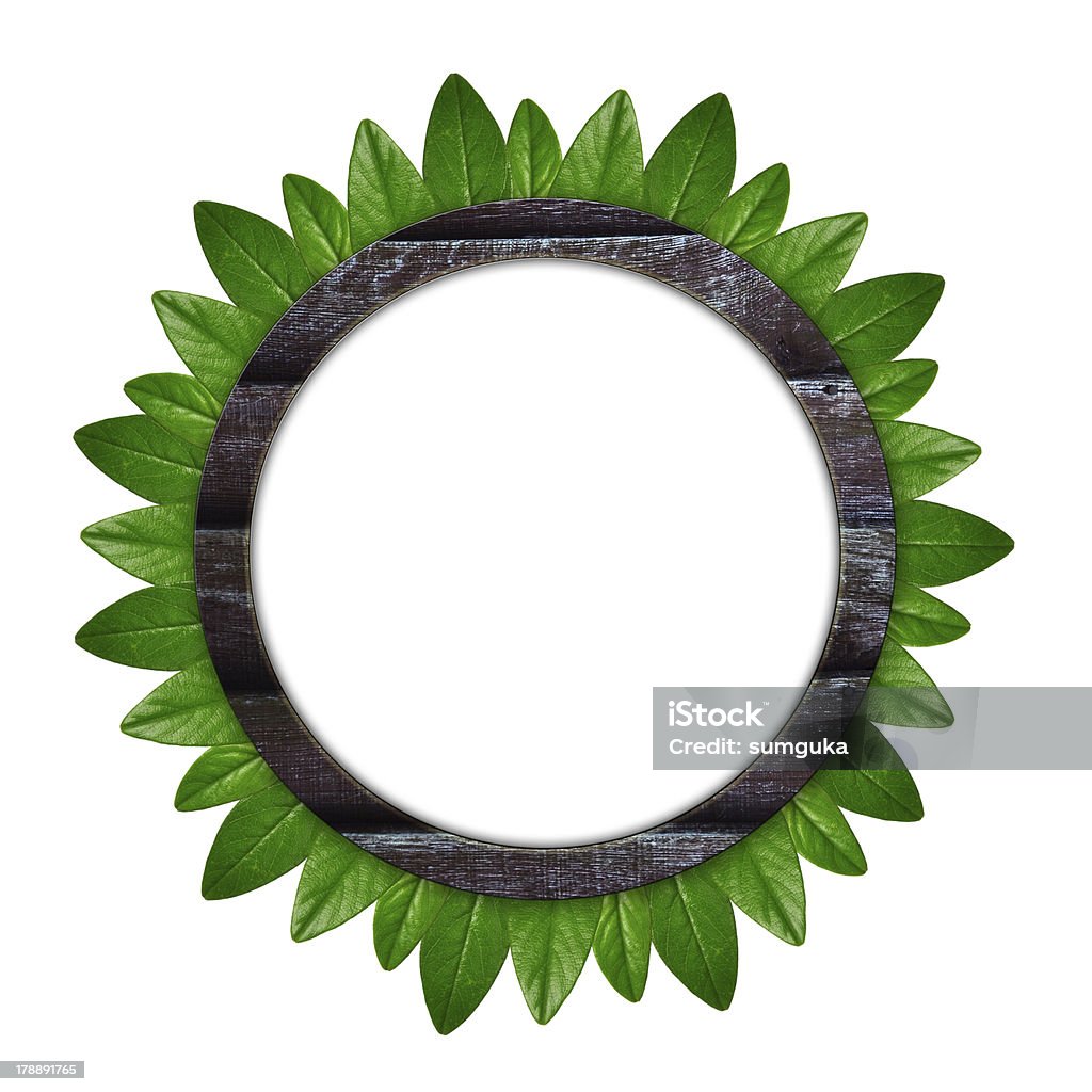 Circle frame of green leaves Circle frame of green leaves on the white background August Stock Photo