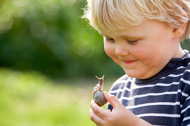 rapaz com caracol - peeking analyzing staring watching imagens e fotografias de stock