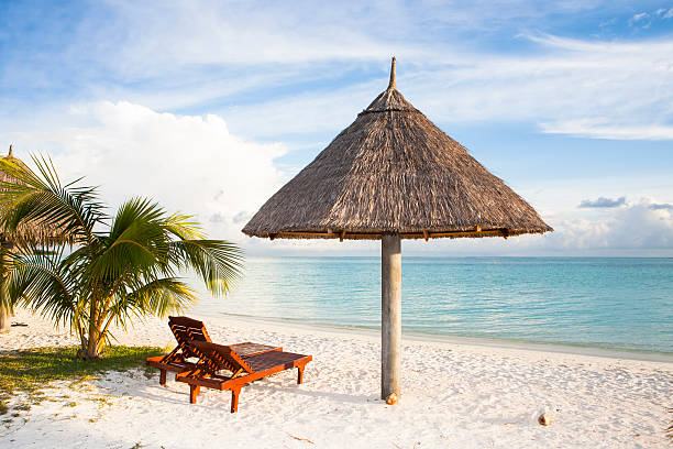 istock sunshade and sunbed at a tropical beach 178892138
