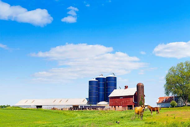 istock American Countryside With Blue Cloudy Sky 178892149