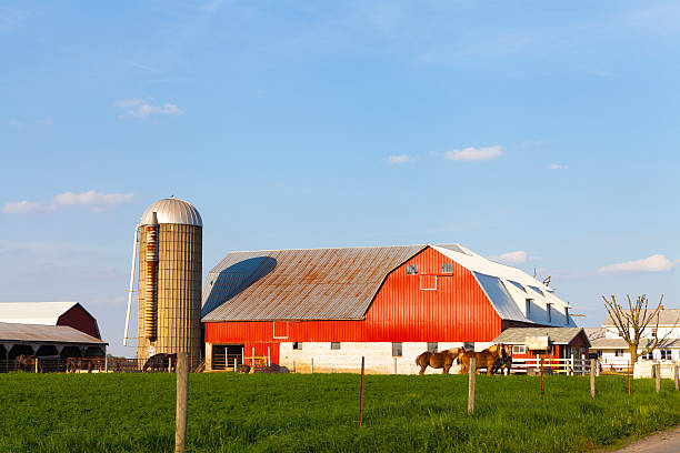 istock American Farmland With Blue Cloudy Sky 178892253