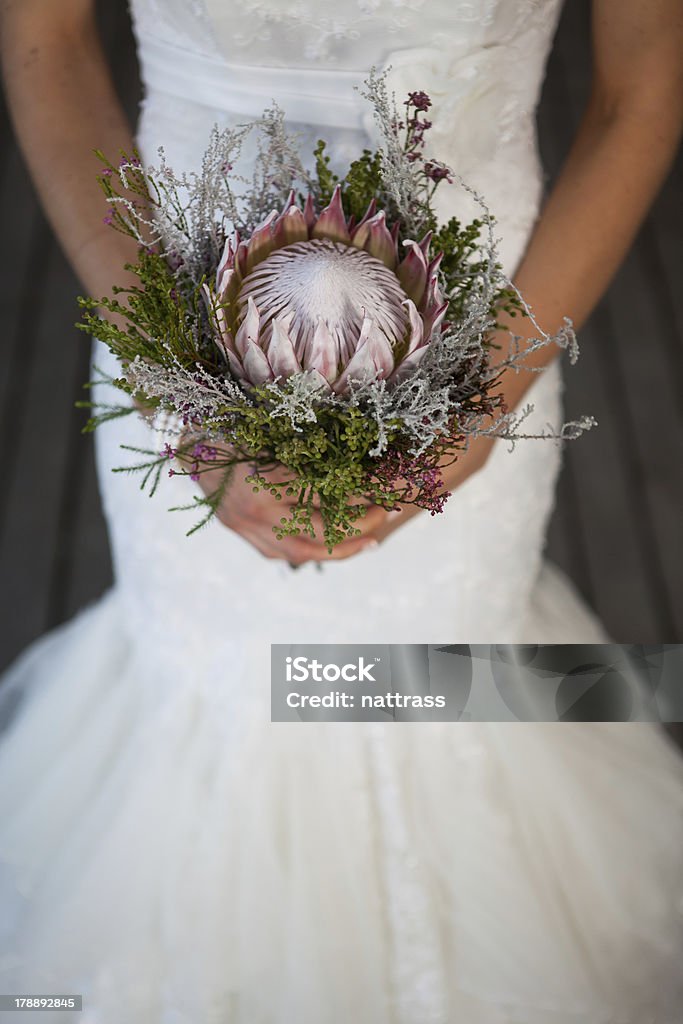 Braut hält protea bouquet - Lizenzfrei Hochzeit Stock-Foto