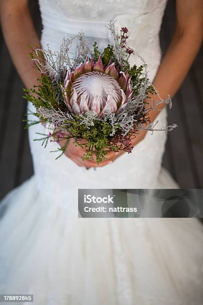 Braut Hält Protea Bouquet Stockfoto und mehr Bilder von Hochzeit - Hochzeit, Blumenstrauß, Braut