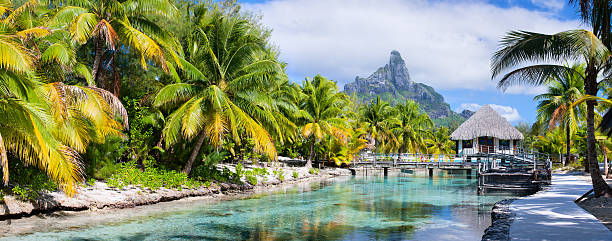 borabora 파노라마 - bora bora polynesia beach bungalow 뉴스 사진 이미지