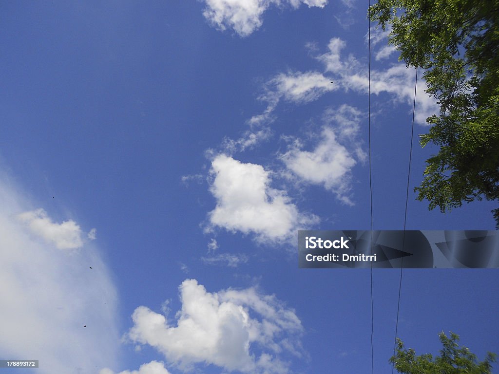 Tree,Sky Above Stock Photo