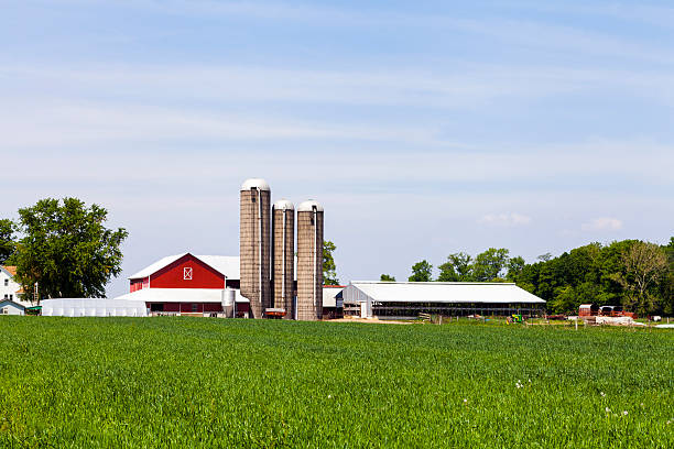 istock American Farmland With Blue Cloudy Sky 178893198