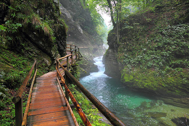 istock Canyon Vintgar, Triglav - Slovenia 178893316
