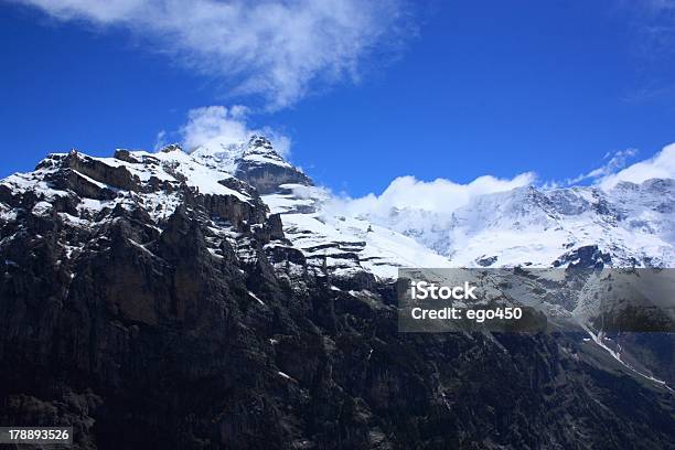 In Svizzera - Fotografie stock e altre immagini di Alpi - Alpi, Ambientazione esterna, Aster