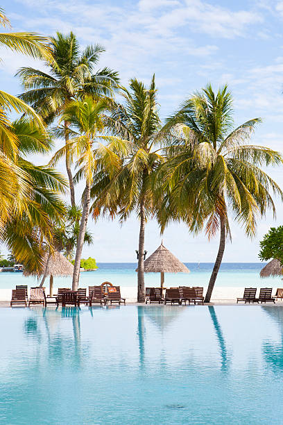 istock lagoon with sunshades and sunbeds 178893902
