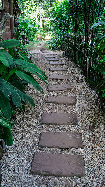 istock walkway in the garden 178894179