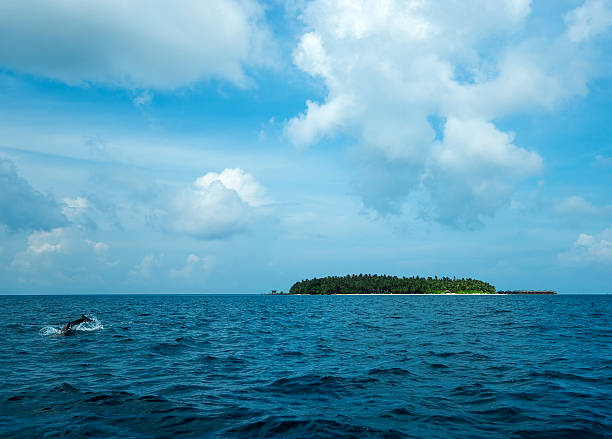 istock Island in the Indian ocean 178894605