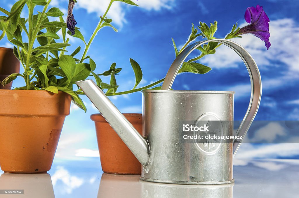 Gardening theme with hard light and saturated colors Gardening themeGardening theme Agriculture Stock Photo