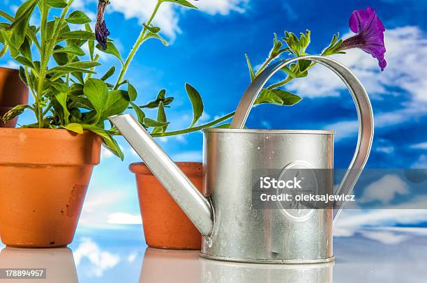 Gardening Theme With Hard Light And Saturated Colors Stock Photo - Download Image Now