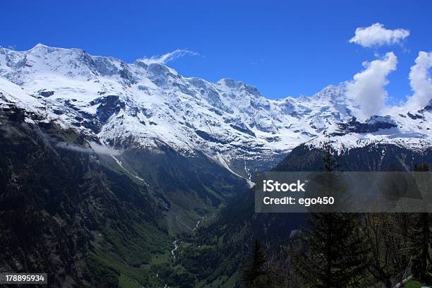 Photo libre de droit de Suisse banque d'images et plus d'images libres de droit de Alpes européennes - Alpes européennes, Arbre, Colline