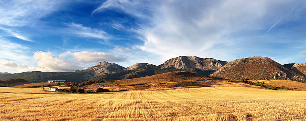 istock hay field panorama with mountains 178896115