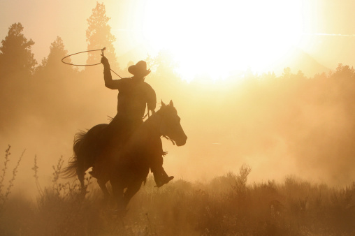Cowboy roping en sus caballos silueta photo