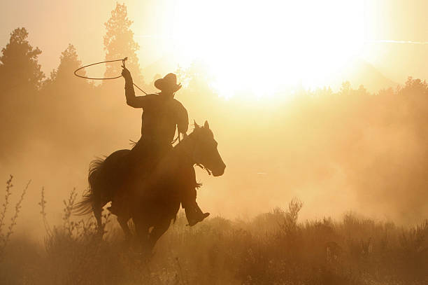 Cowboy roping on his horse silhouette Evening round up on a ranch in oregon. ranch photos stock pictures, royalty-free photos & images