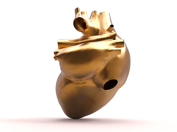 istock Model of artificial human heart 178896453