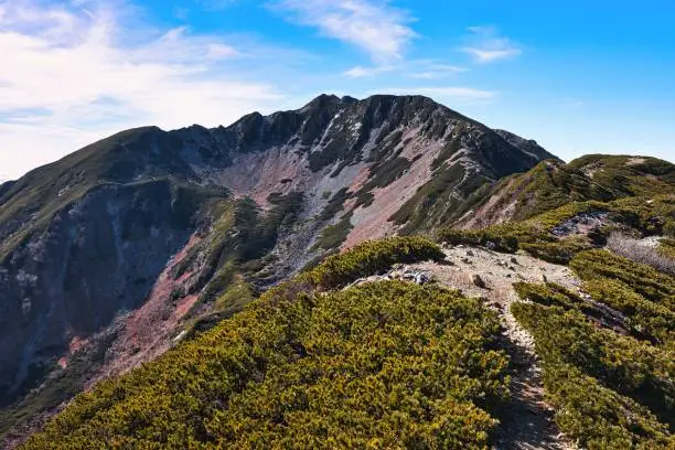 Mt. Senjogatake, called the Queen of the Southern Alps in Japan