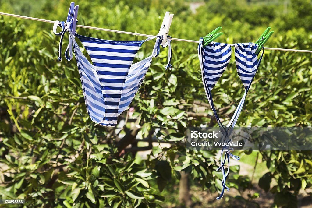 swimsuit dries in green garden female swimsuit dries in green garden Agritourism Stock Photo