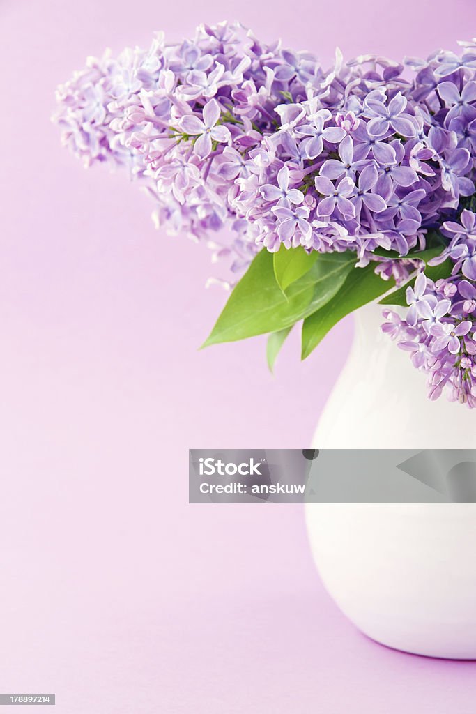 White vase with a bouquet of lilacs White vase with a bouquet of purple lilac spring flowers Arrangement Stock Photo