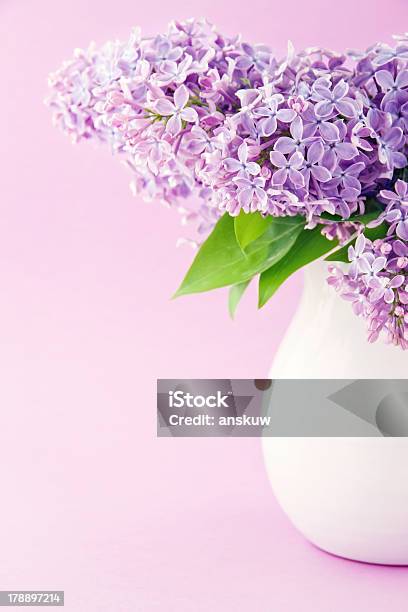 White Vase With A Bouquet Of Lilacs Stock Photo - Download Image Now - Arrangement, Blossom, Bouquet