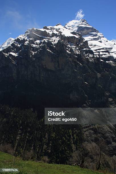 Schweiz Stockfoto und mehr Bilder von Alpen - Alpen, Anhöhe, Aster