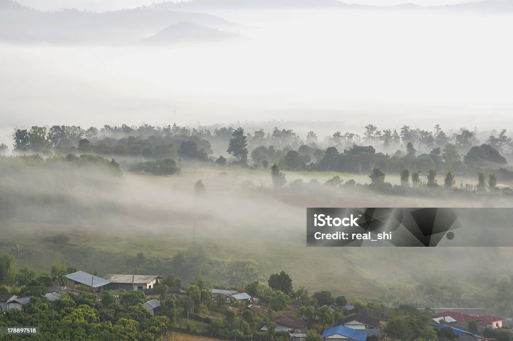 Vista montagna di nebbia di mattina luce - Foto stock royalty-free di Albero