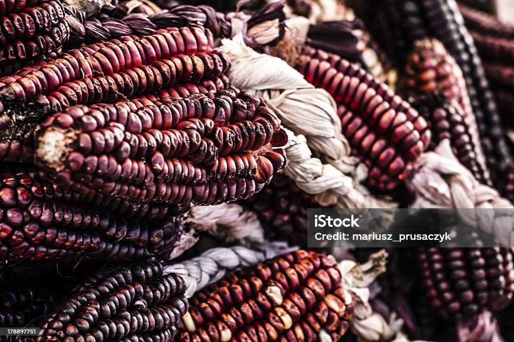 Color maíz cobs en el Perú - Foto de stock de Agricultura libre de derechos