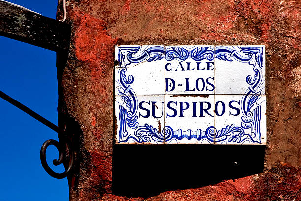 istock plant and a wall in calle de los suspiros 178898066