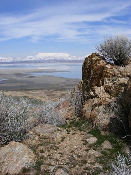 istock Snowy desert landscape antelope island 178899275