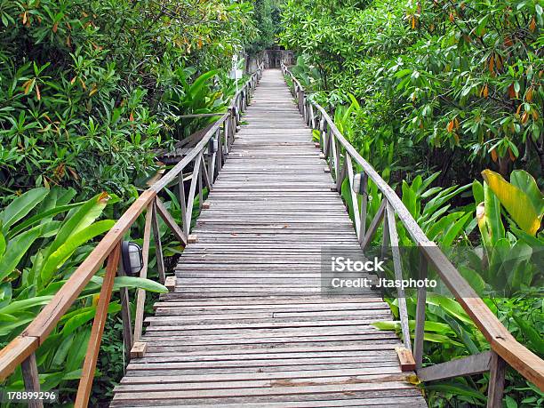 Ponte De Madeira - Fotografias de stock e mais imagens de Antigo - Antigo, Ao Ar Livre, Arquitetura