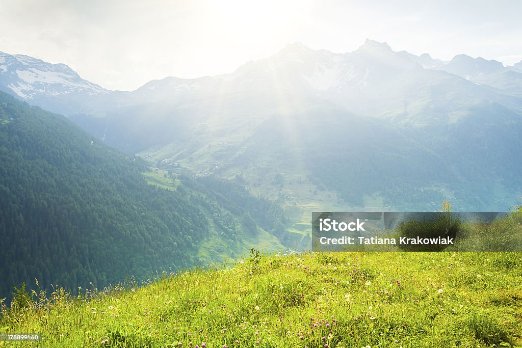 Alps Beautiful view in Swiss Alps. Auto Post Production Filter Stock Photo