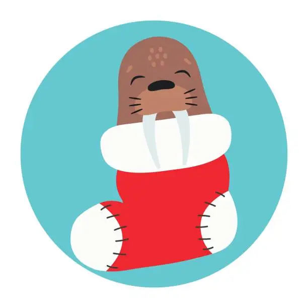 Vector illustration of Cute walrus sleeps in a Christmas stocking. Happy Holidays. Winter animal. Vector illustration.