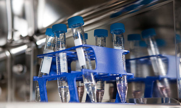 istock In Vitro Lab Equipment - Test Tubes 178902100