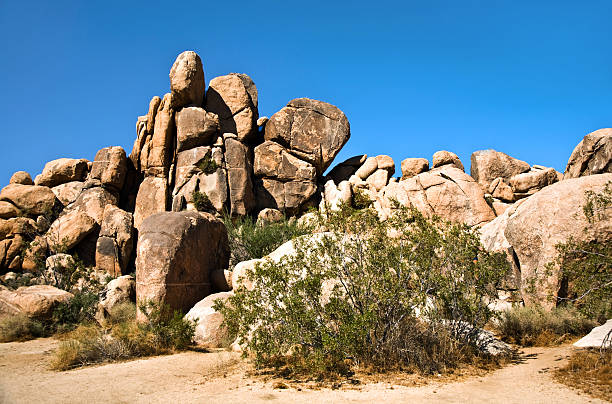 istock Nature in Joshua tree National Park 178904132
