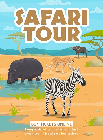 Safari tour flyer. Cartoon african animals. African travel advertising flyer, safari adventure promo vector poster or banner with hippopotamus, zebra, cheetah and buffalo african savannah animals