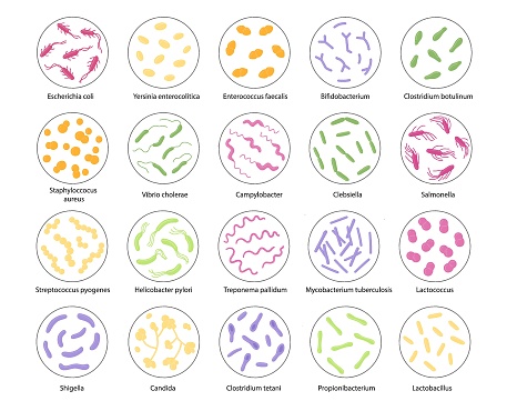 Set of bacteria in a magnifying glass. Vector illustration in doodle style