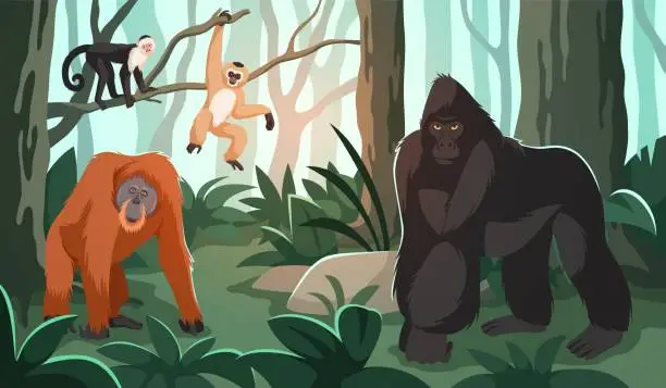 Vector illustration of Monkeys in jungle. Exotic animals in nature, gorilla, orangutan and little primates, tropical forest, plants and trees. Wild mammals cartoon flat isolated illustration, tidy vector concept