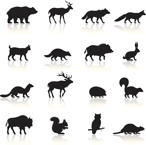 stockillustraties, clipart, cartoons en iconen met wild animals icon set - stinkdier