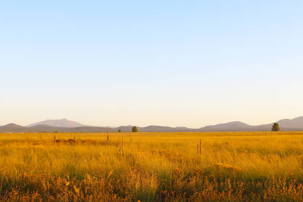 istock Beautiful scenic fields at sunset in Arizona. 1789072490