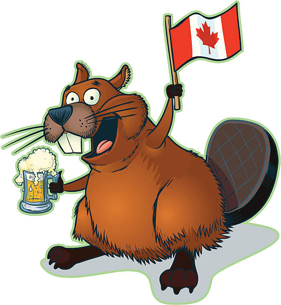 Cartoon Beaver with Mug of Beer and Canadian Flag Vector cartoon clip art of a funny, happy cartoon beaver holding a mug of beer and a Canadian flag. The beer is on a separate layer if you wish to remove it. bucktooth stock illustrations