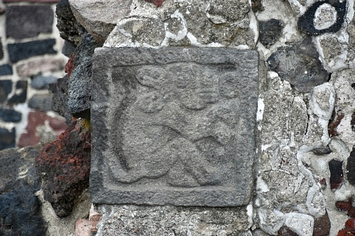 Stone likeness of a rabbit in ancient Aztec city of Tenochtitlan, present-day Mexico City